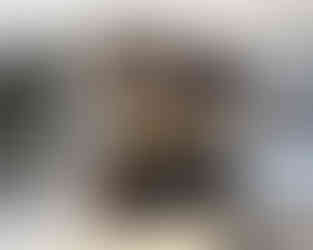 Bar designs-Built In Durham