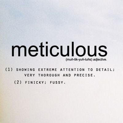 meticulous2.jpeg