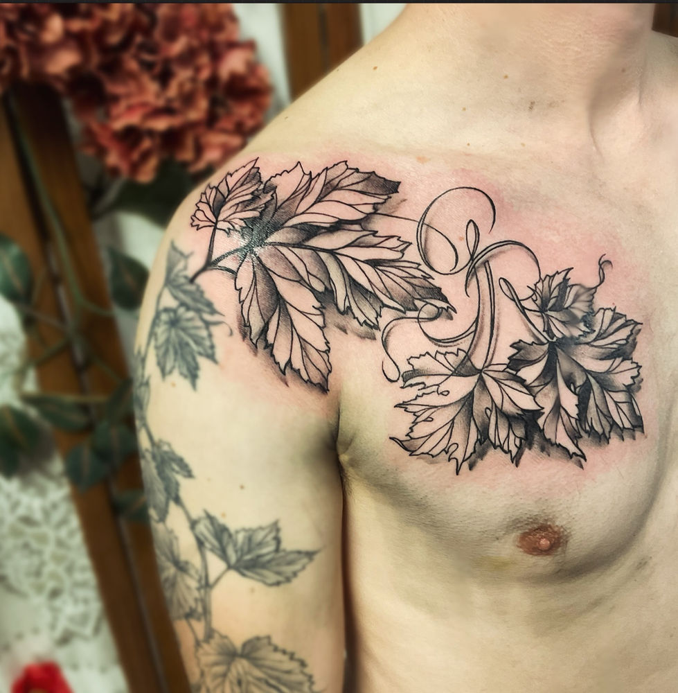 482638648_18378249226190961_7236270006289395421_n