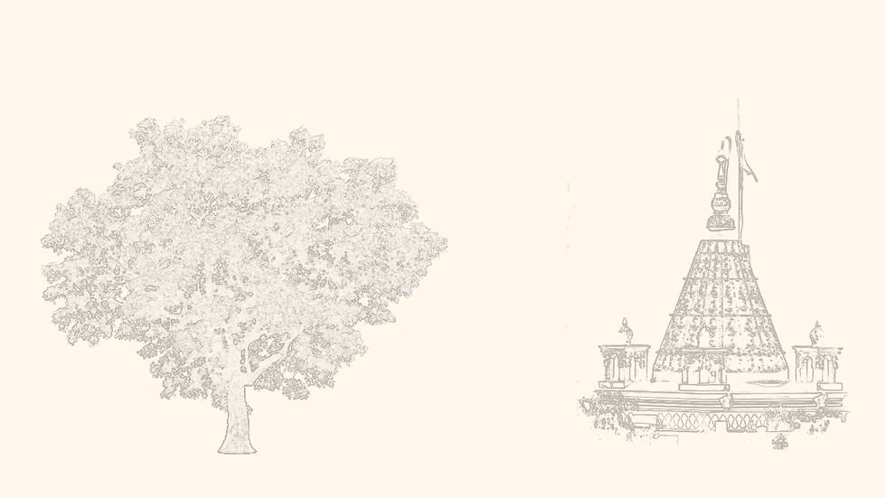 bg1.jpg