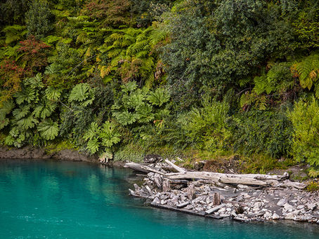 Parque Cascadas nació como un lugar de familia. Antes de tener nombre, antes de imaginar abrirlo a otros, fue nuestro punto de encuentro con la naturaleza en la Patagonia Aysén.
