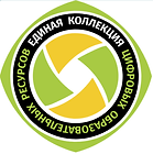 2023-09-06_15-28-54.png