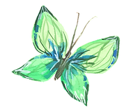 63285443_l (1)_edited.png