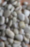 Pb-013