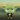 “Que la Fuerza te acompañe” Cómo  enseñarle Mindfulness a los niños con Star Wars.
