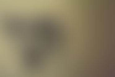 Los contras de la evolución