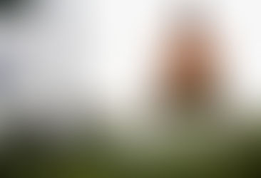 Aplicación del mindfulness durante la práctica deportiva.