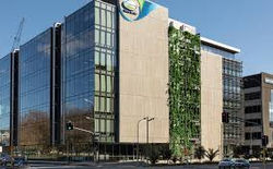 70113866_2350793521674556_10067021519231