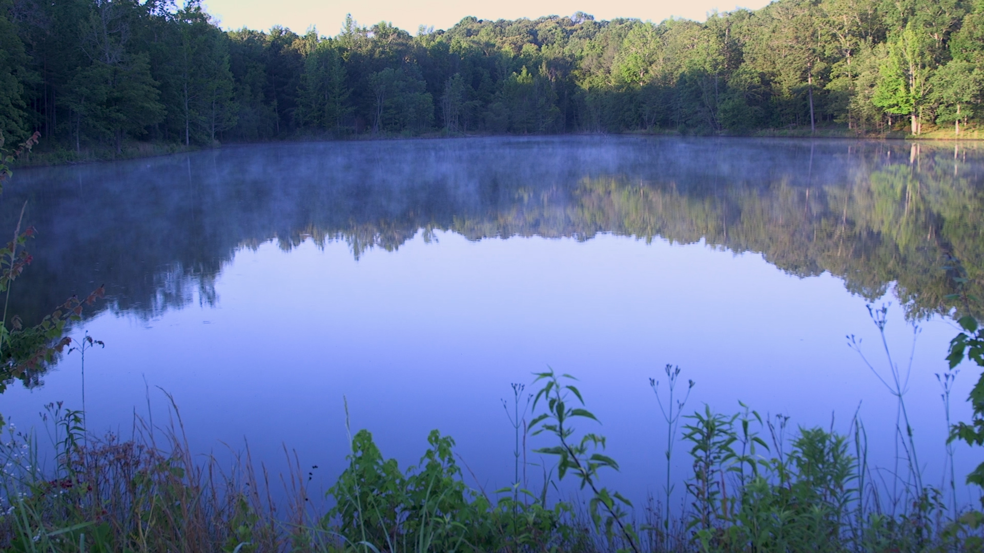 Bass Lake at sunrise
