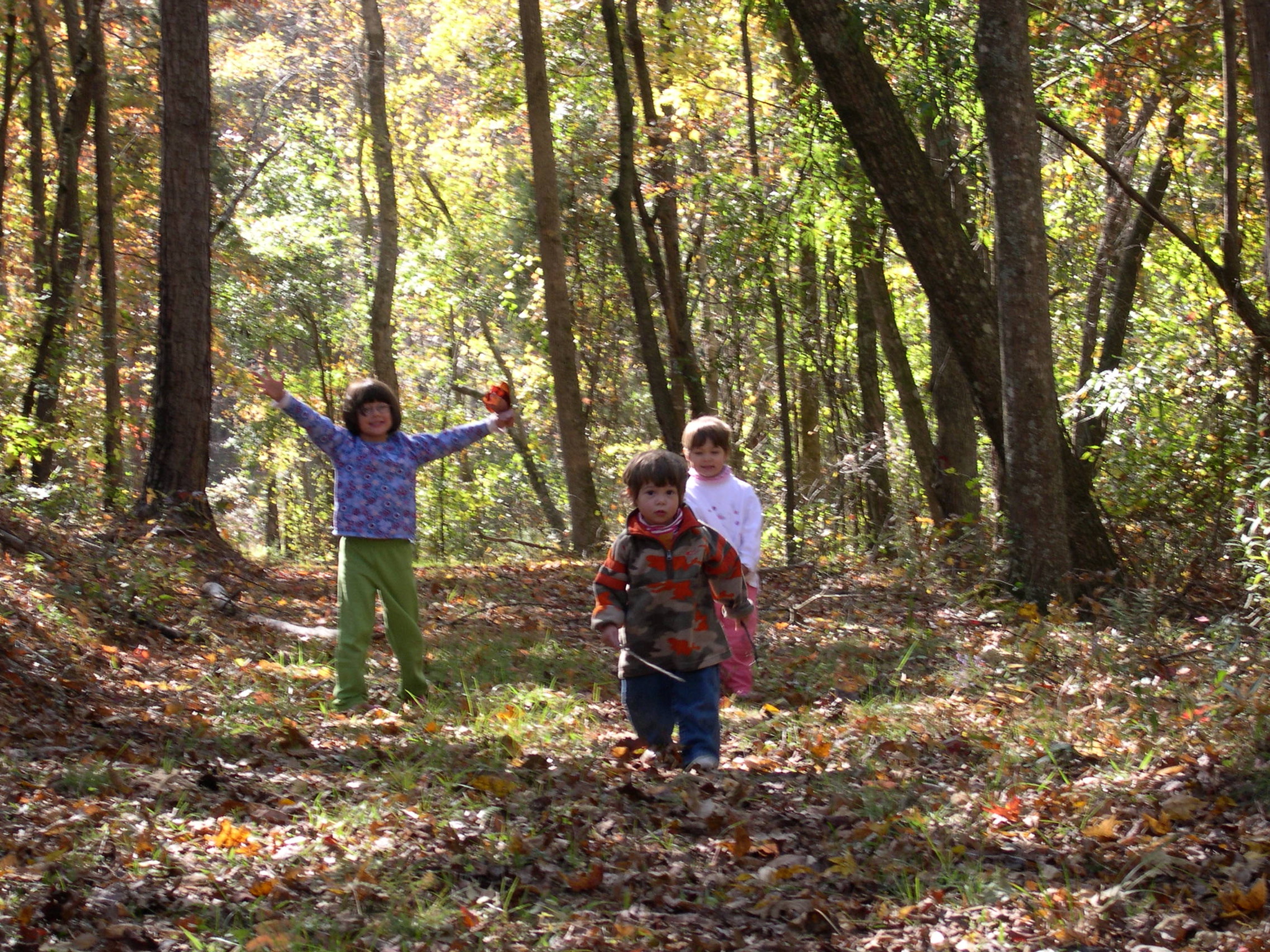 Children in woods