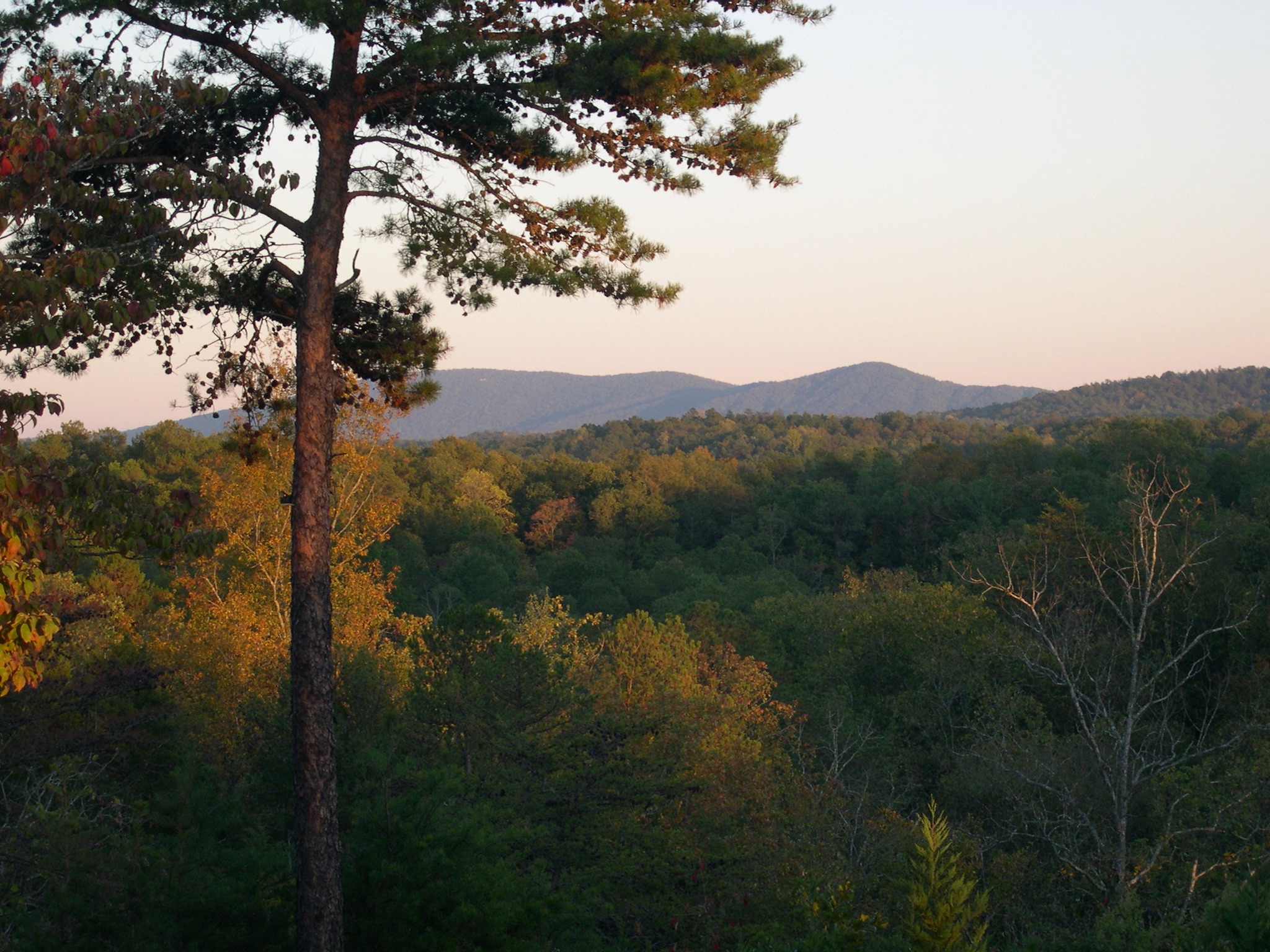 Landscape