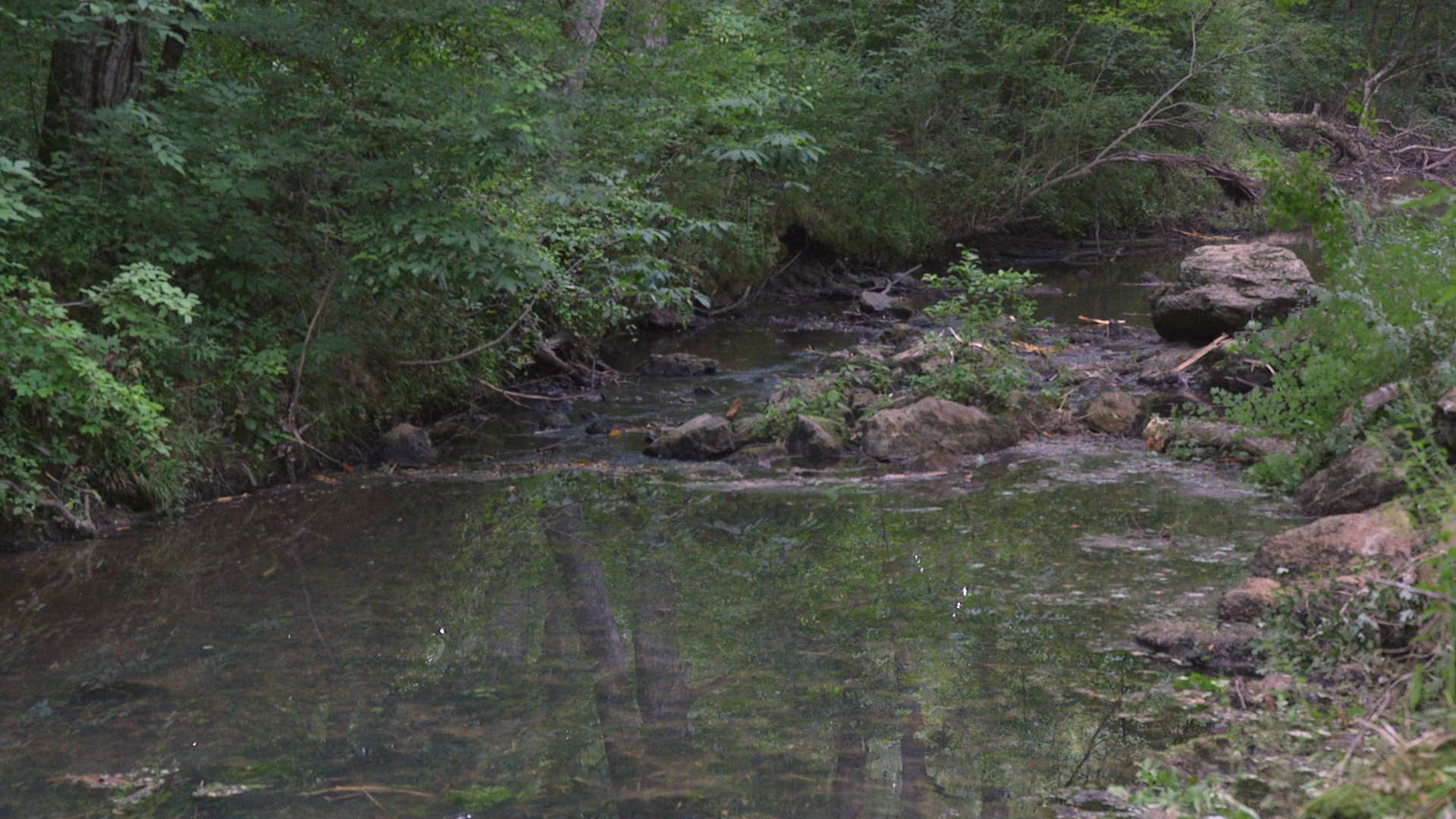 Four Mile Creek
