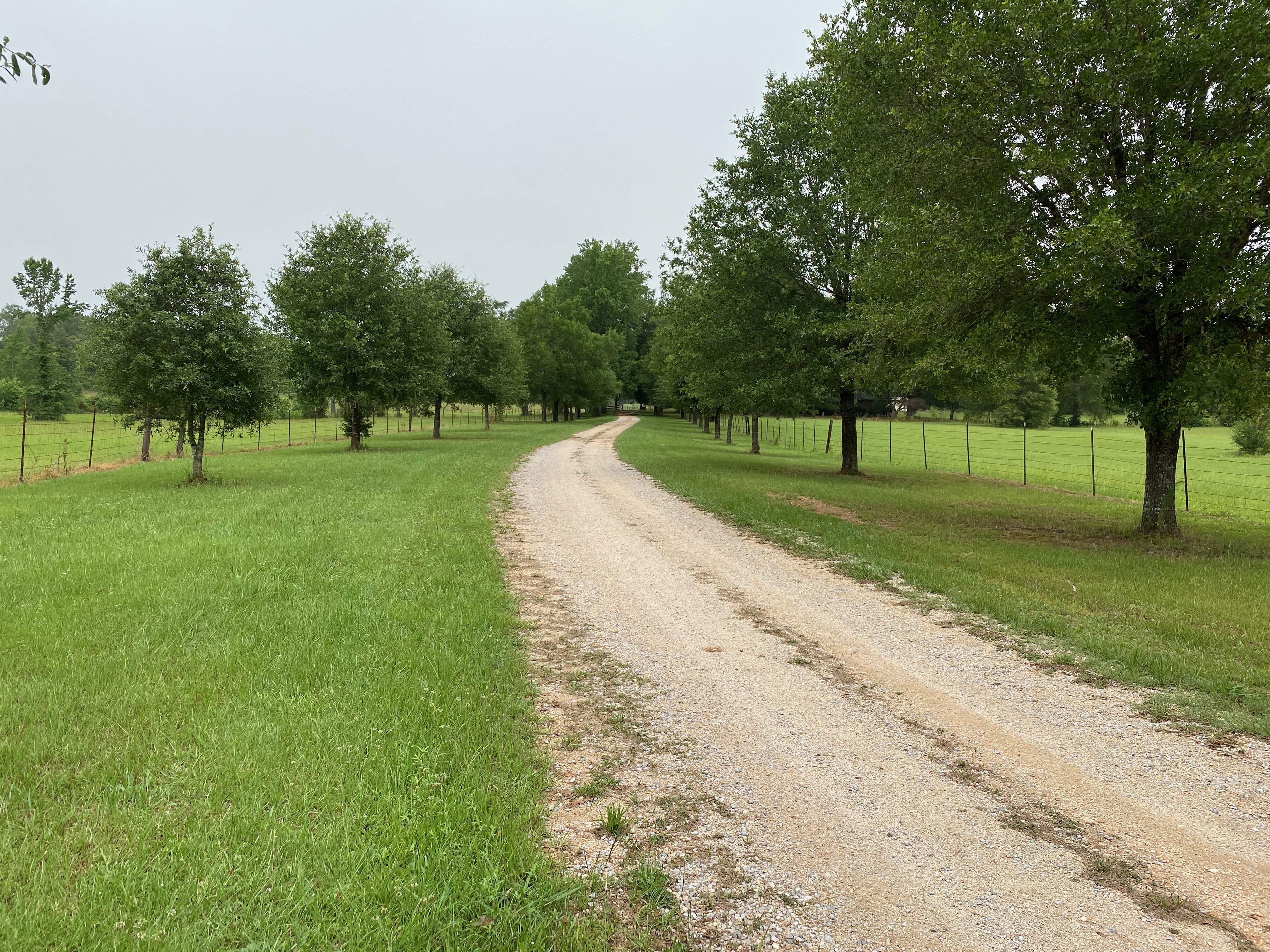 Main Road