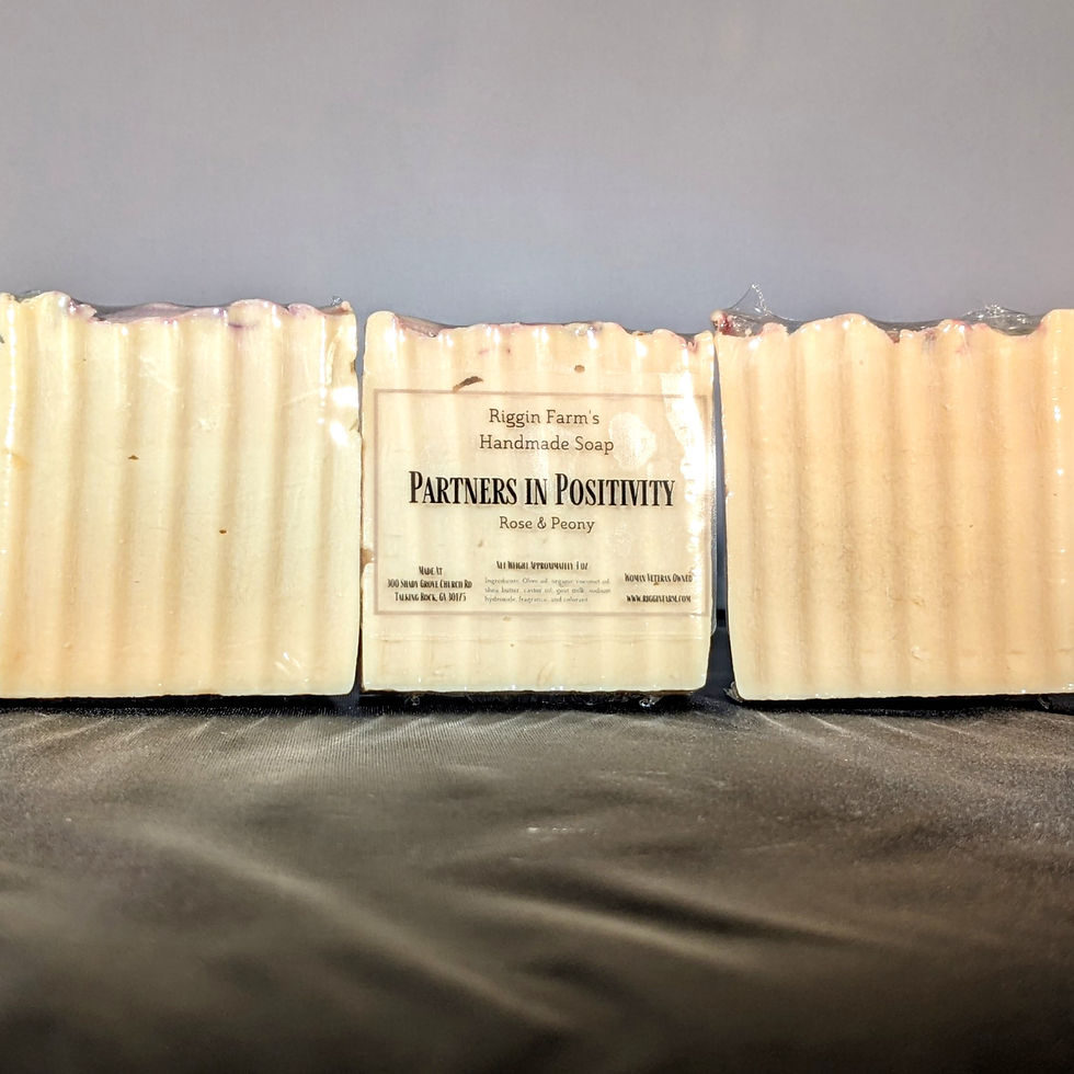 Partners in Positivity Soap