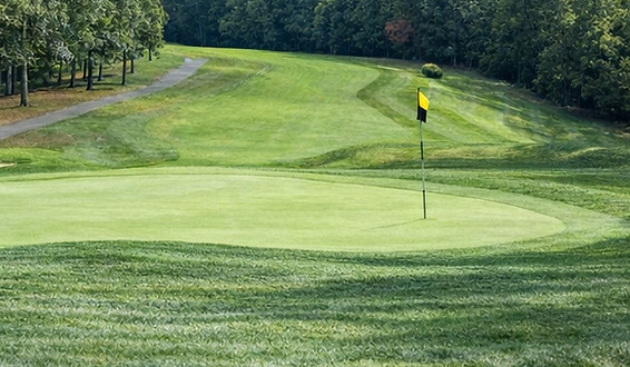 Golf_edited.jpg