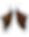IMG_1643.png