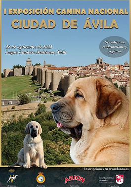 cartel-avila-2025-539476833_773201391753639_1102409341188141066_n.jpg