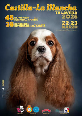 Cartel-TALAVERA-2025.jpg