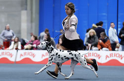 _P5I4467 copiar_edited