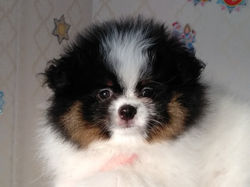 140845061_230052258678142_3000546179782643477_o