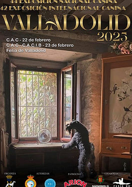 anuncio-valladolid-2025.jpg