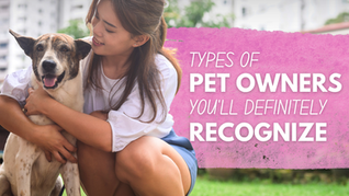 Pet Owner with Dog