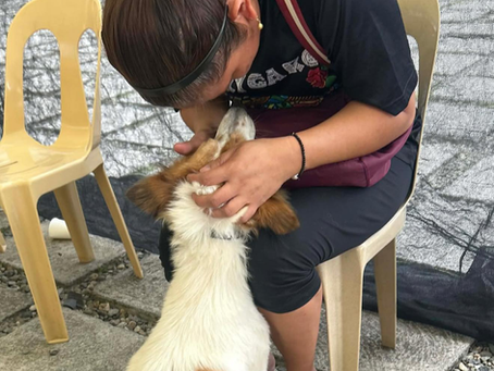 The State of Animal Welfare in the Philippines