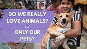 Dog with person in the Philippines