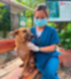 Animal Kingdom Foundation staff with a dog rescued from cruelty