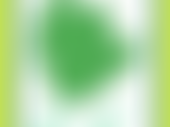 Building a Better 11th: My Vision for District