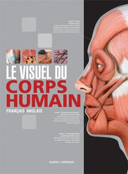 Le visuel du corps humain
