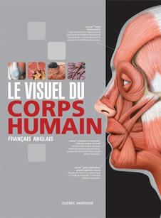 Visuel du corps humain