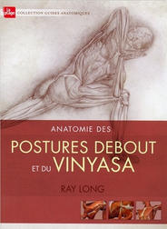 Anatomie des postures debout et du vinyasa