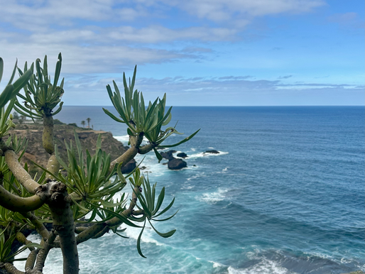 Ocean, tenerife,