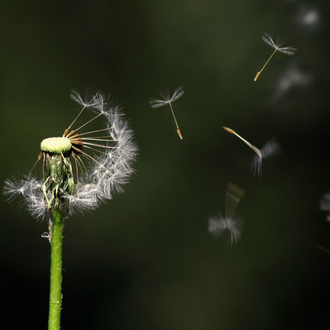 2025.04.19 - Waiting in the In-Between: A Spiritual Journey Through Change