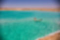 Siwa Oasis