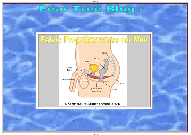 Pelvic Floor Exercises And Continence Training In Men Blog
