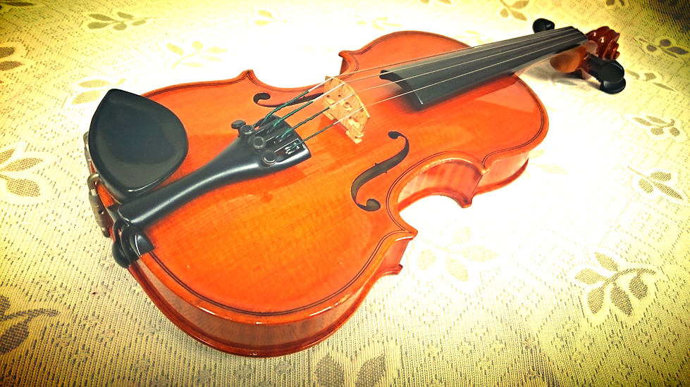 川本桃子 ヴァイオリン教室 個人レッスン 川本桃子 ヴァイオリン教室 個人レッスン