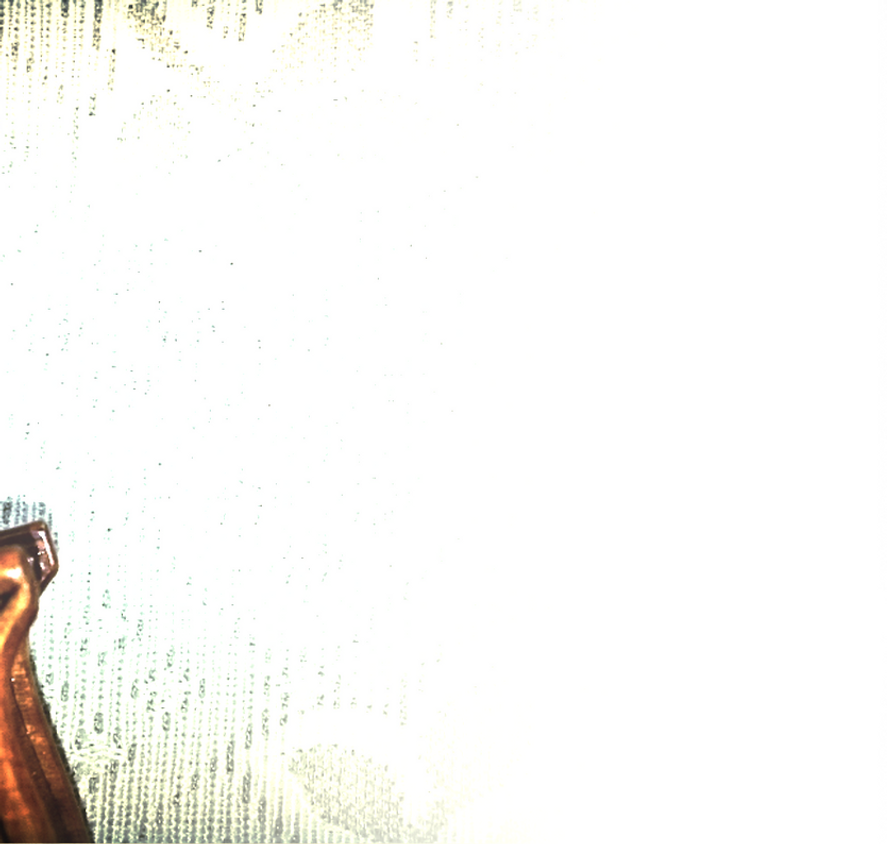 ヴァイオリン 東京 川本桃子 ヴァイオリン 東京 川本桃子