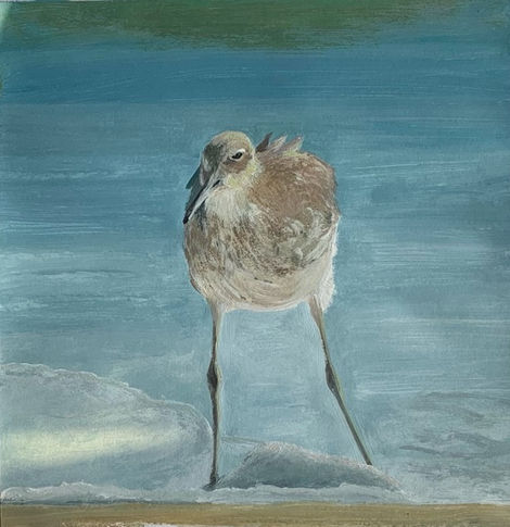 Dancing seagull 2,
Acrylic on paper,
20x25 cm
