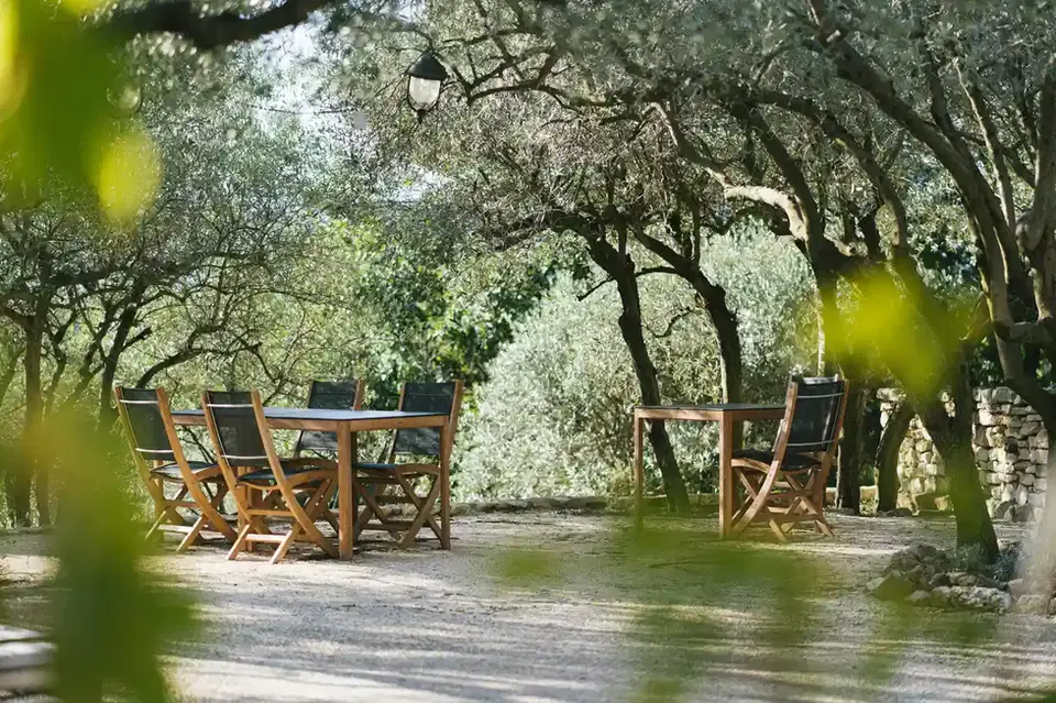Table et chaises en bois sous les arbres, ambiance paisible en extérieur.