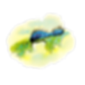Caterpillar_Bowen.png