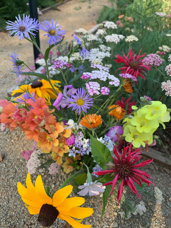 Seasonal local varieties of flowers only found in the sierra foothills add a sweet touch to any bouquet.