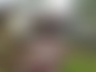 Oakland, CA ~ $486,000