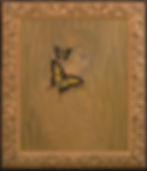 PLI melissa Illusion