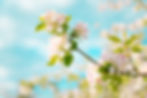 AdobeStock_350537712.jpeg