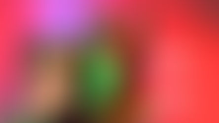 “Il Gatto e la Volpe - Il manuale del vero amico” in scena al Teatro “Di Vino” a Terricciola