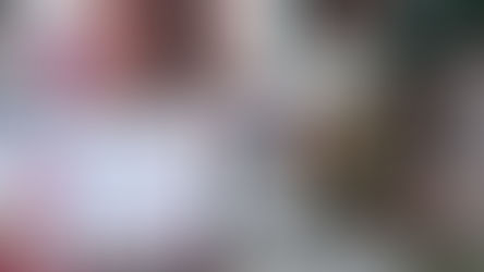 Continuano gli appuntamenti di "Sì!Pari" nel Comune di Terricciola! Scopri il programma dal 11 al 23 Novembre.