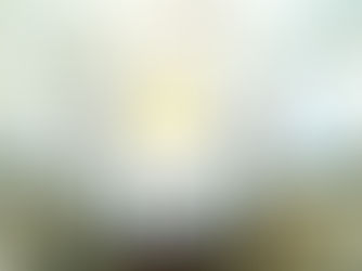 North Gate Opens On-site Airbnb