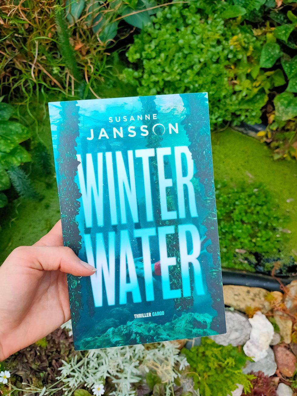 Winter Water - Susanne Jansson